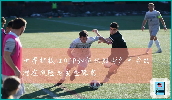 世界杯投注app如何识别海外平台的潜在风险与安全隐患